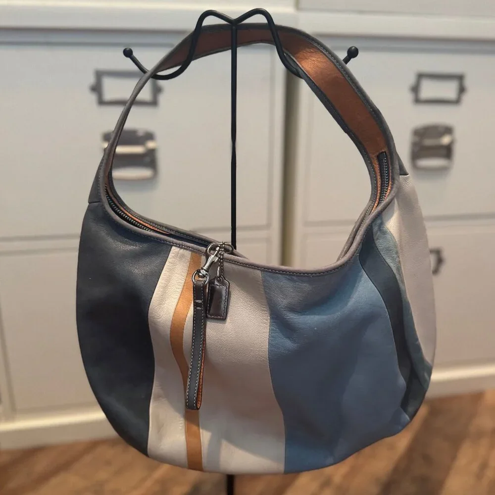 Coach Ergo Multicolor Striped Leather Hobo Bag
